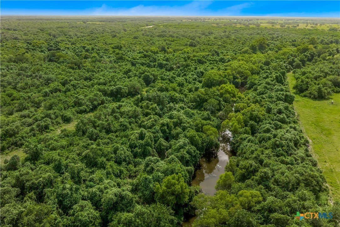85 acres in Goliad County - photo 11