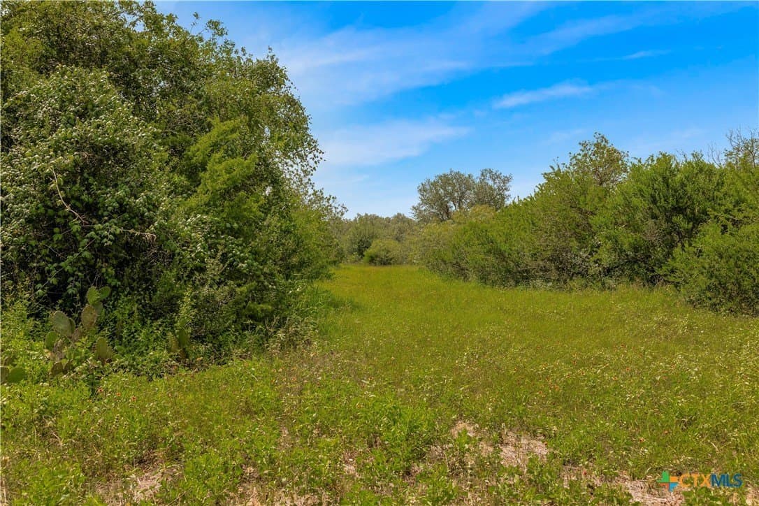 85 acres in Goliad County - photo 18