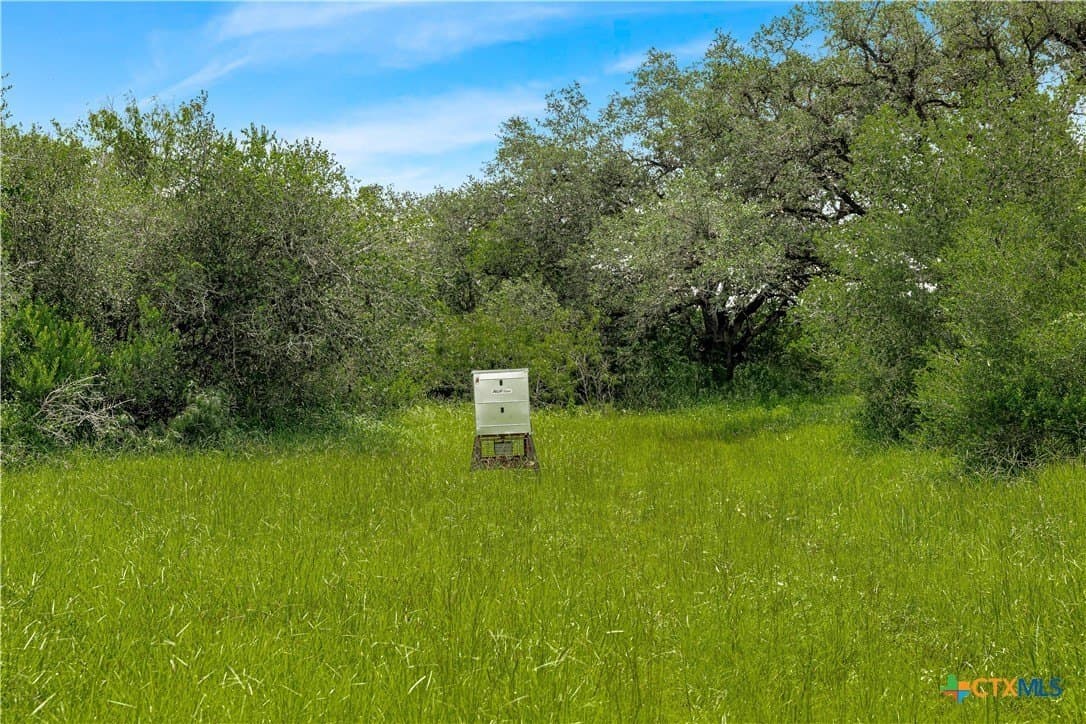 85 acres in Goliad County - photo 10