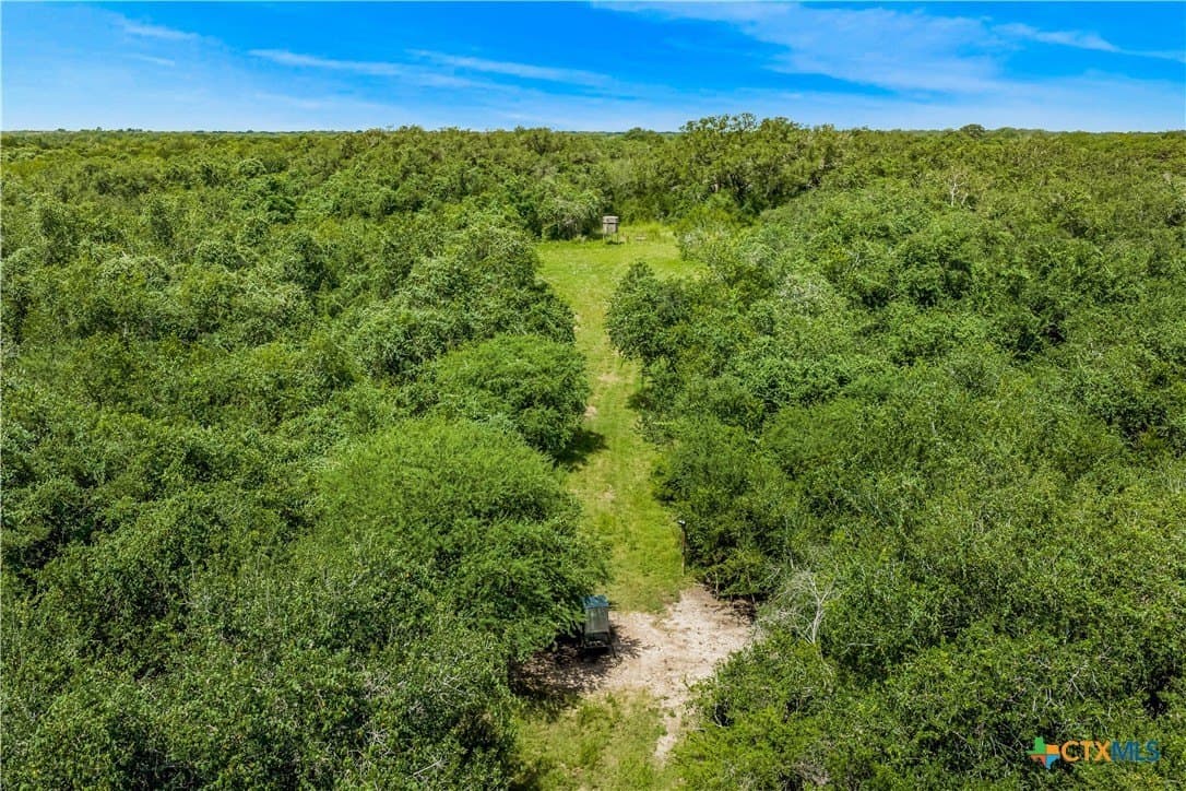 85 acres in Goliad County - photo 13