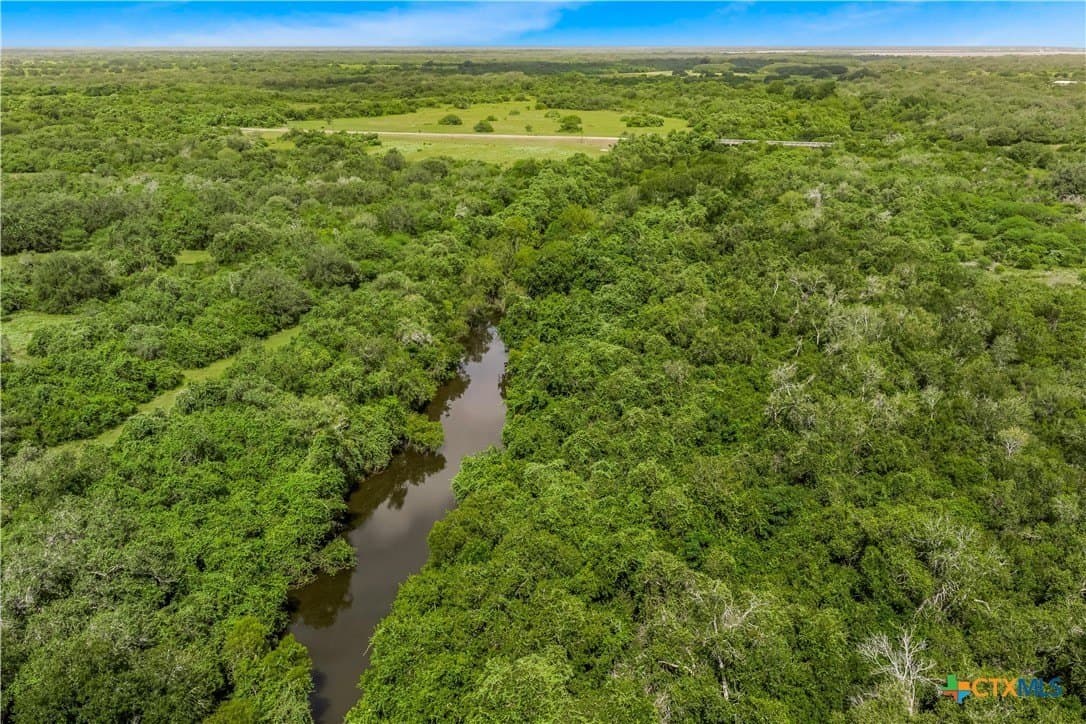 85 acres in Goliad County gallery image 3