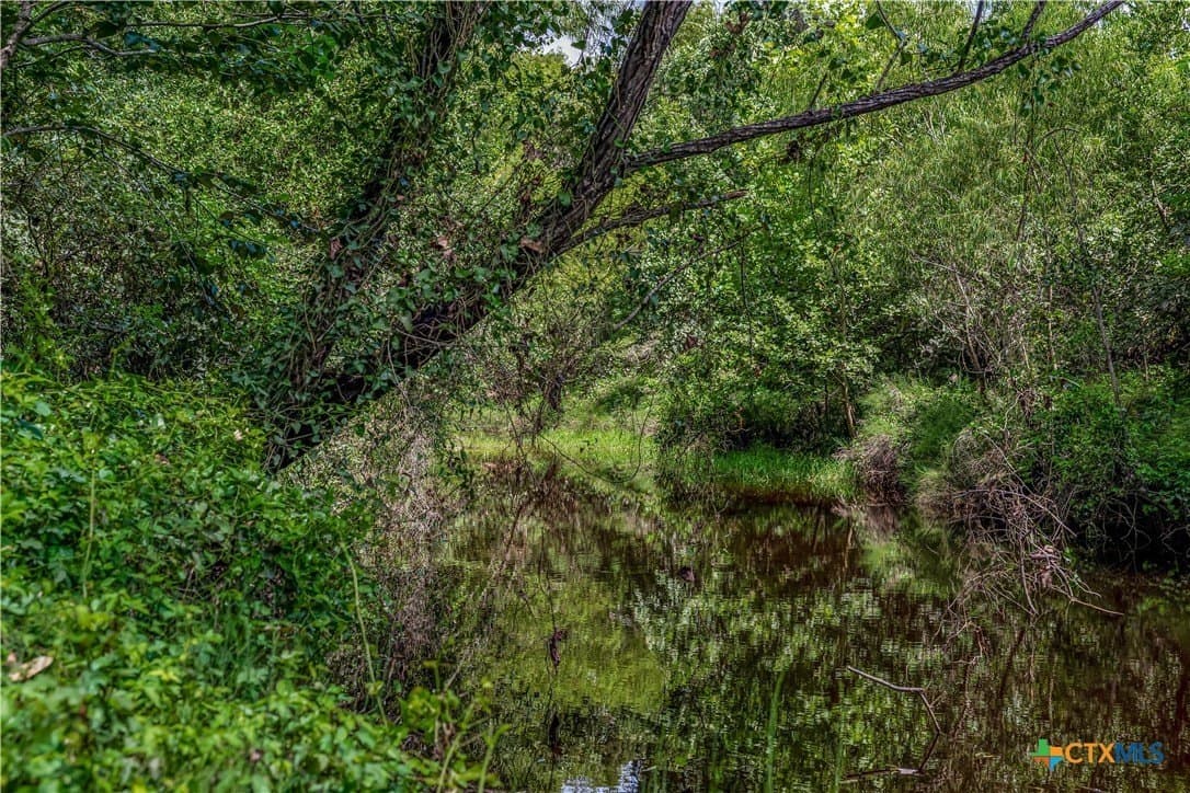 85 acres in Goliad County - photo 6
