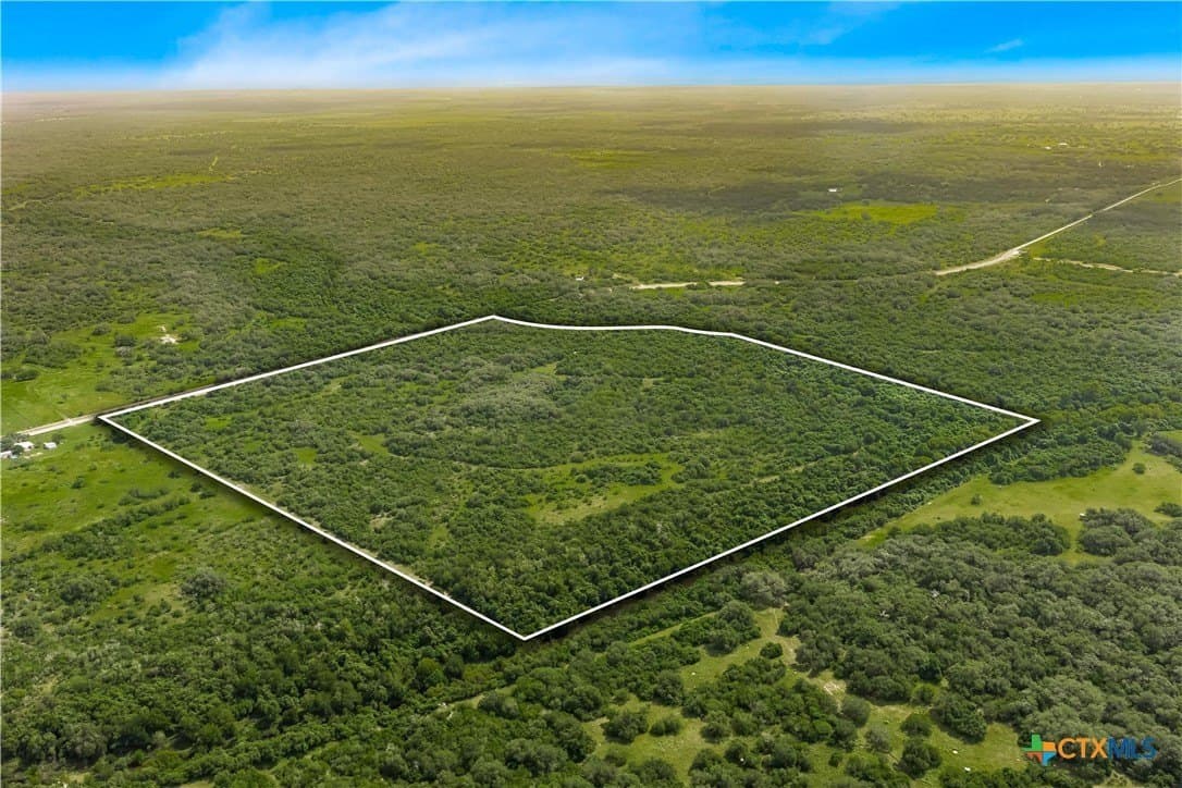 85 acres in Goliad County featured view