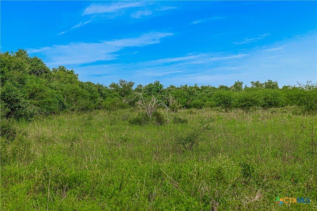 85 acres in Goliad County - photo 15