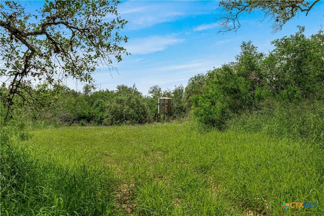 85 acres in Goliad County - photo 19