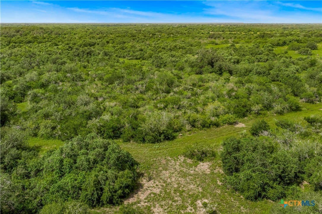 85 acres in Goliad County gallery image 4