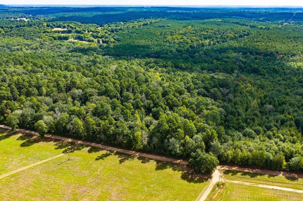 25 acres in Texas County - photo 2