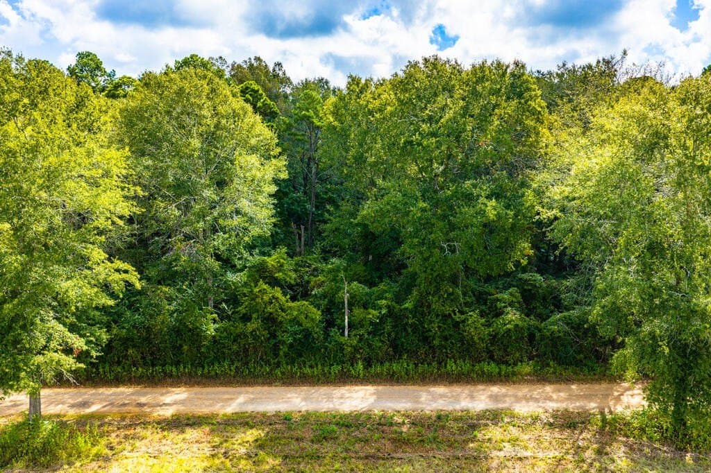 25 acres in Texas County - photo 4
