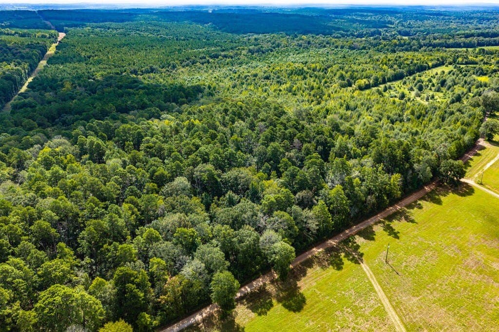 25 acres in Texas County - photo 3