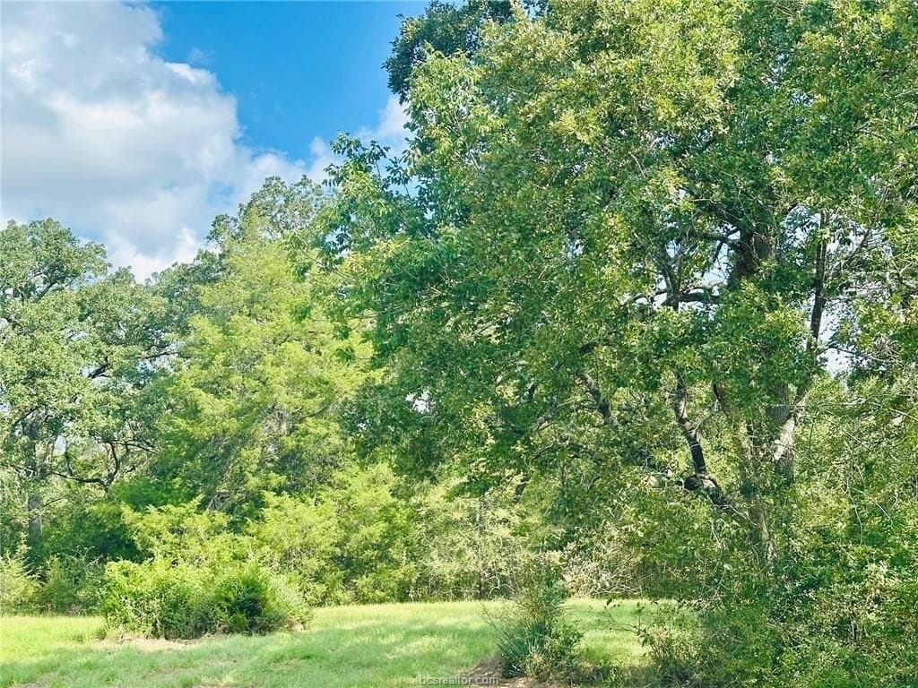 1.08 acres in Grimes County - photo 2