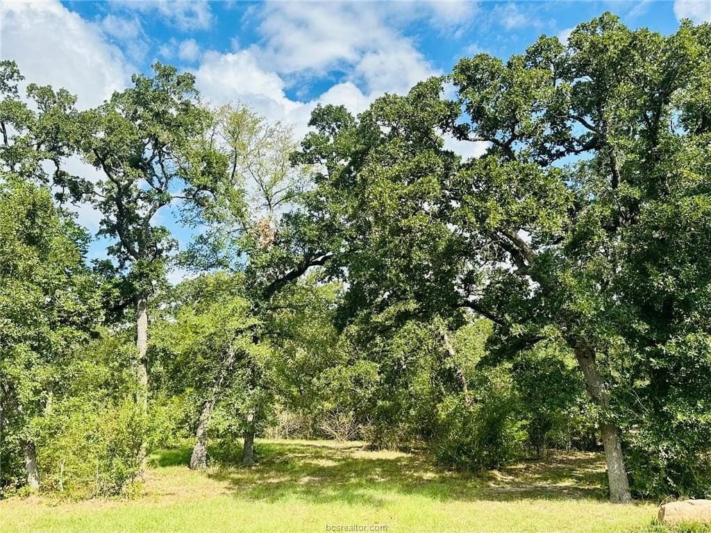 1.08 acres in Grimes County - photo 5