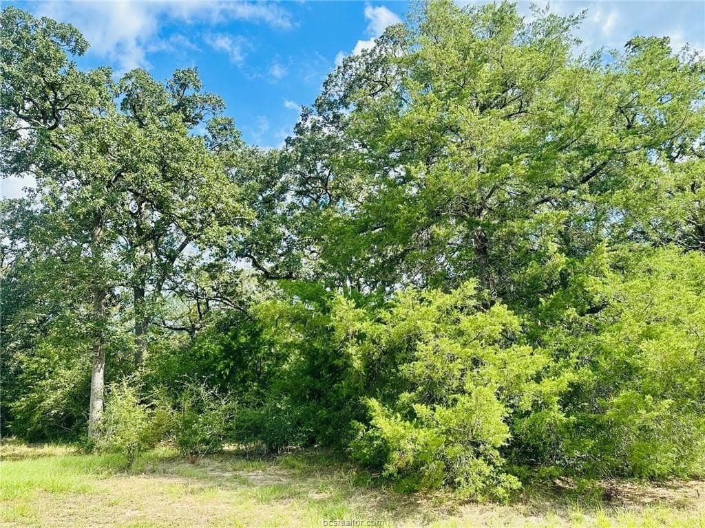 1.08 acres in Grimes County - photo 4