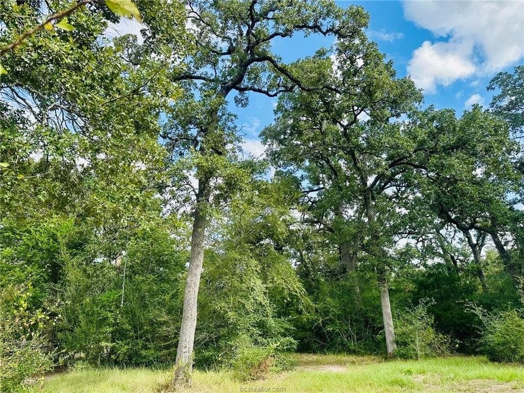 1.08 acres in Grimes County - photo 3