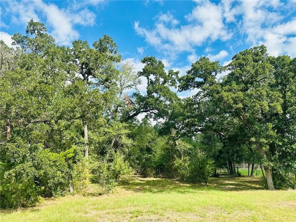 1.08 acres in Grimes County - photo 6