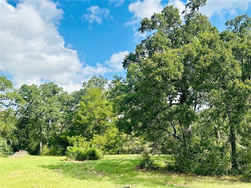 1.08 acres in Grimes County - photo 9