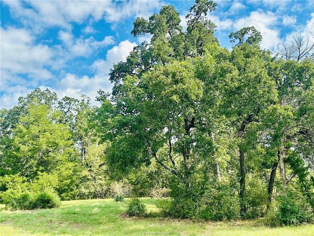 1.08 acres in Grimes County - photo 8