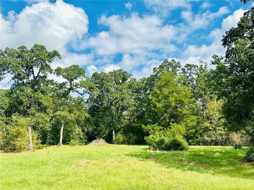 1.08 acres in Grimes County - photo 7