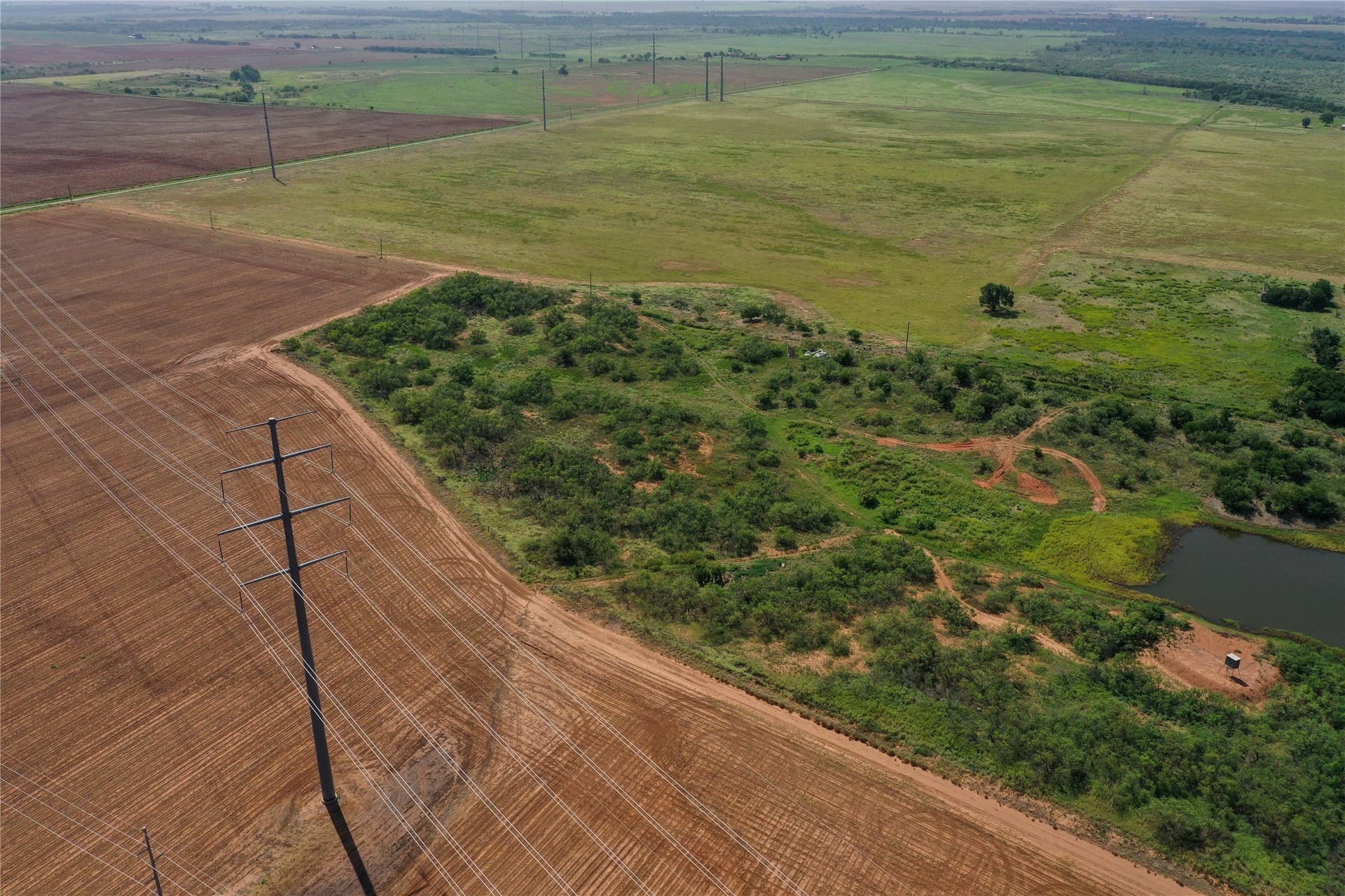 110 acres in Wilbarger County - photo 6