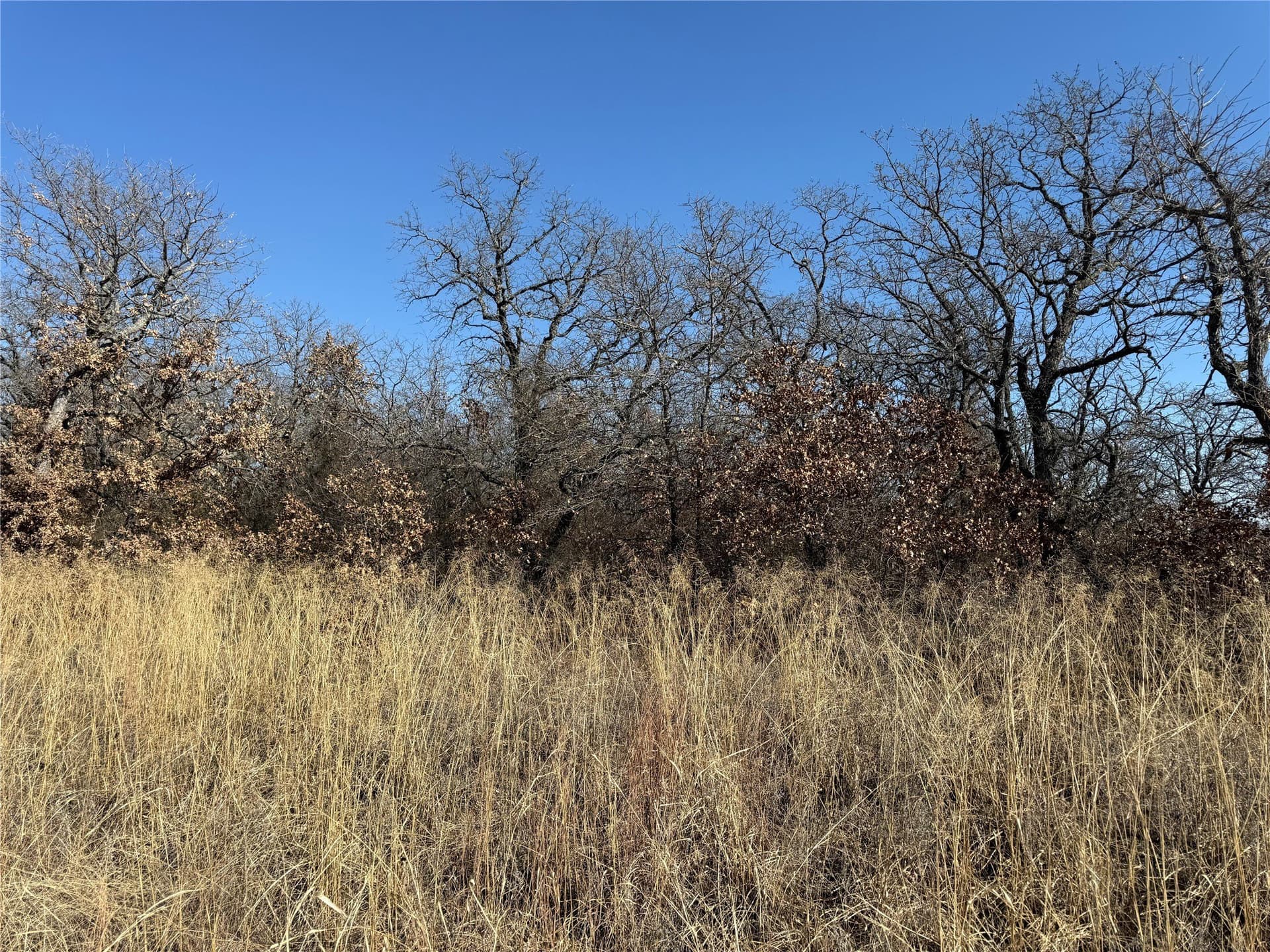 0.26 acres in Montague County gallery image 3