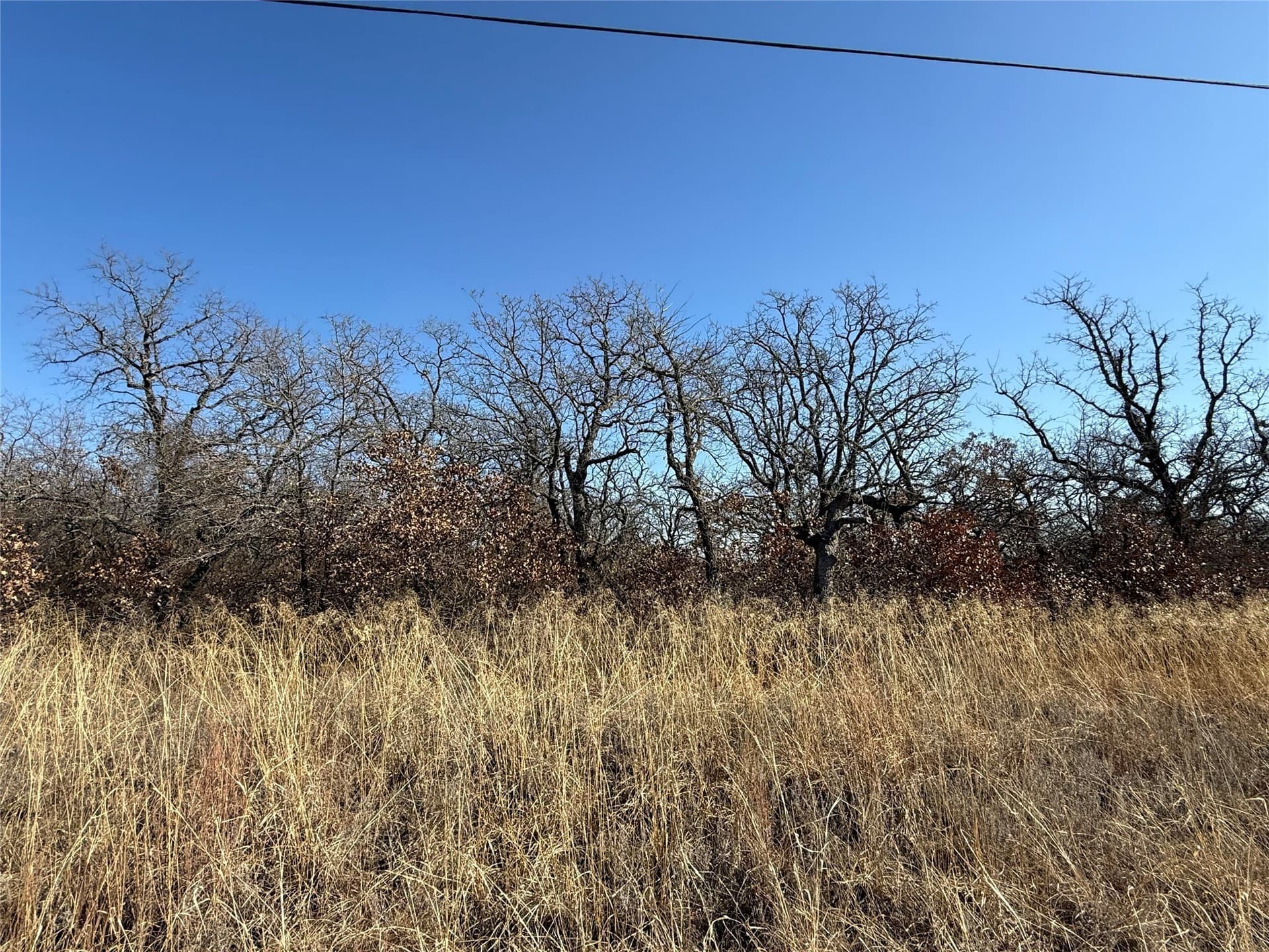 0.26 acres in Montague County gallery image 4