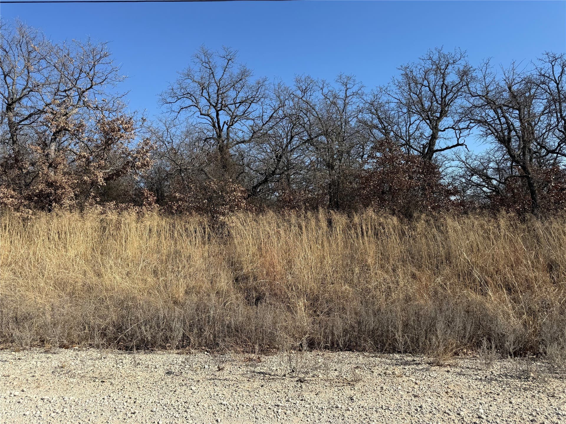 0.26 acres in Montague County gallery image 2