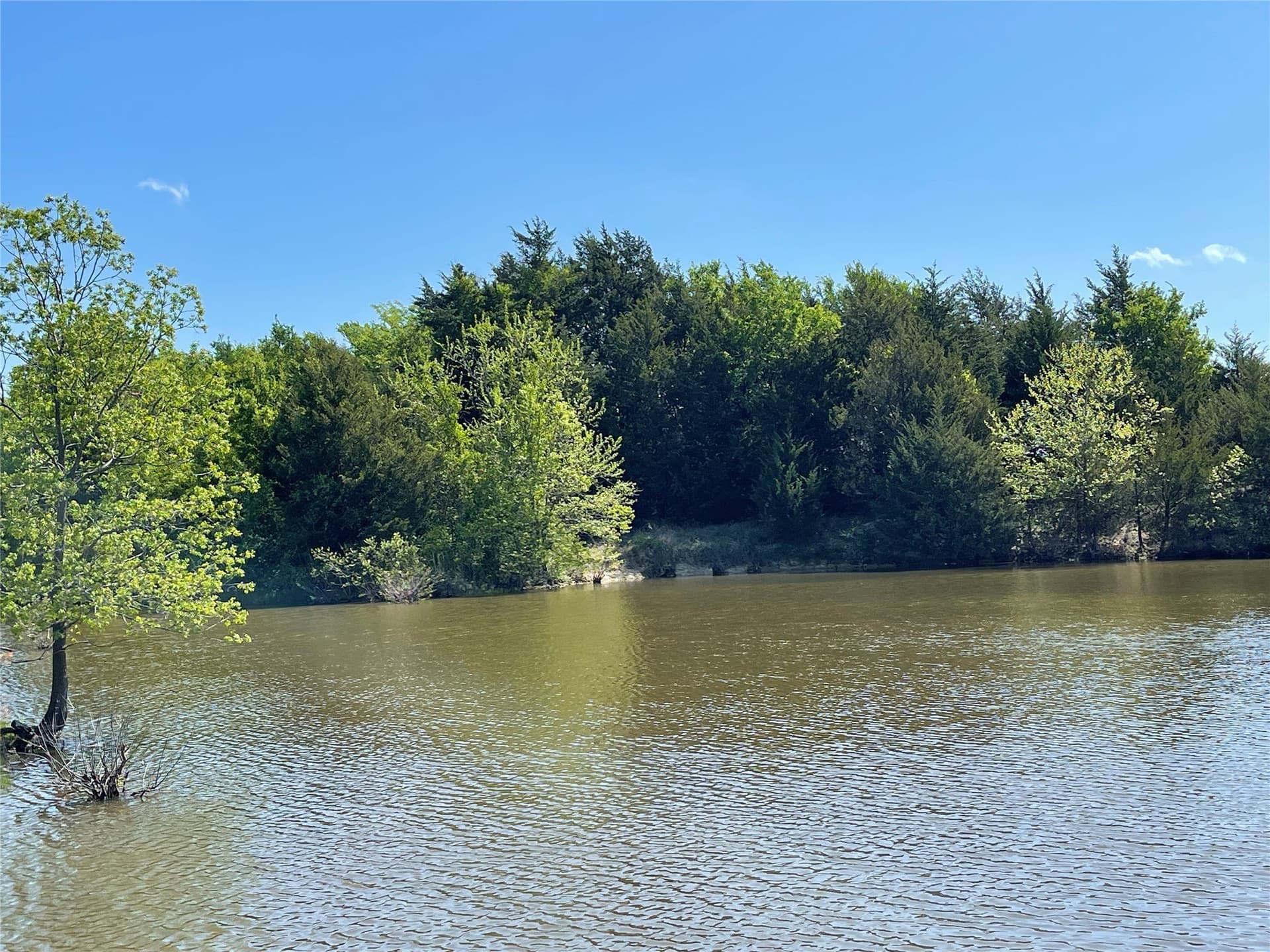 28.78 acres in Fannin County - photo 24