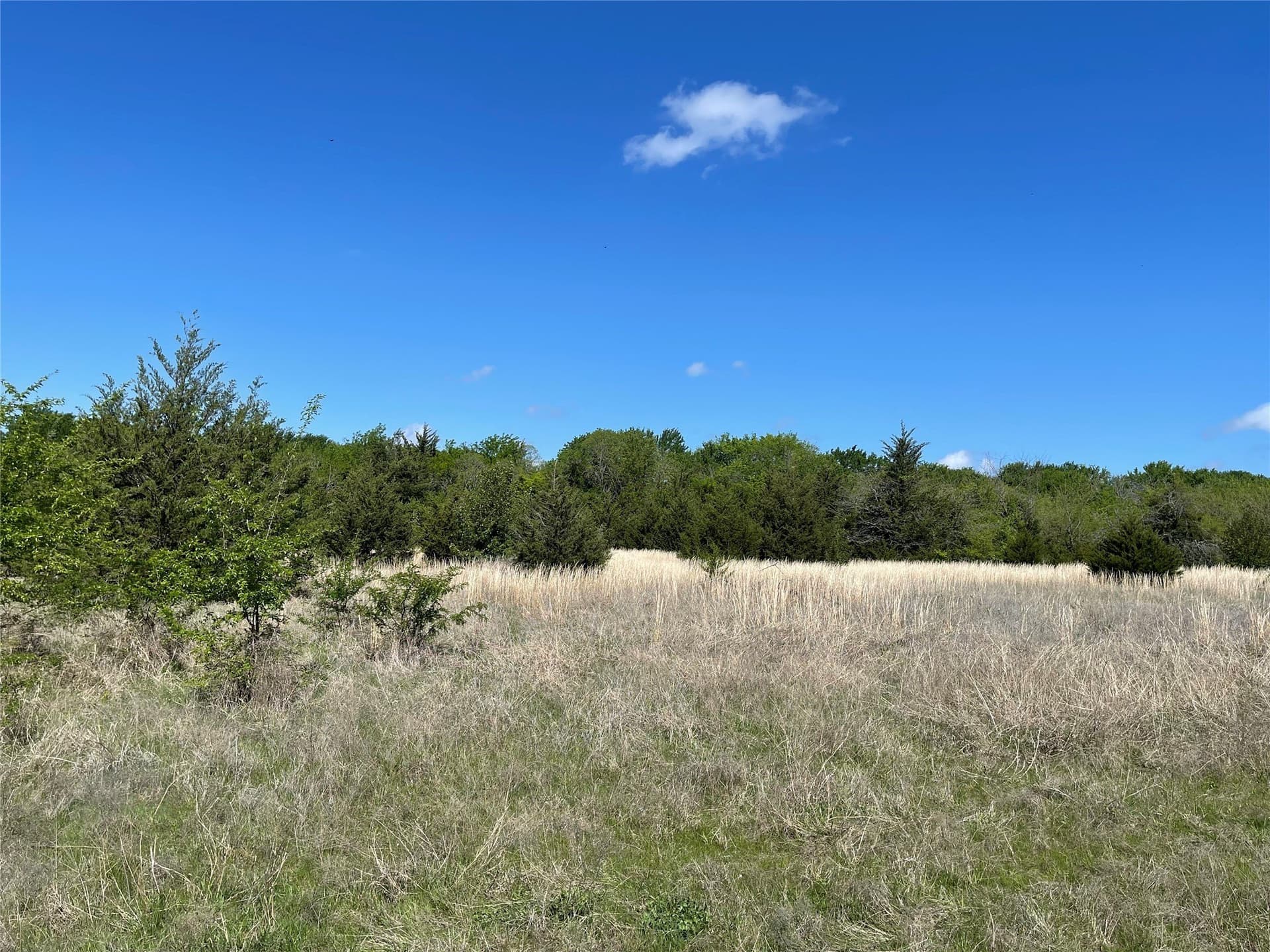 28.78 acres in Fannin County - photo 14