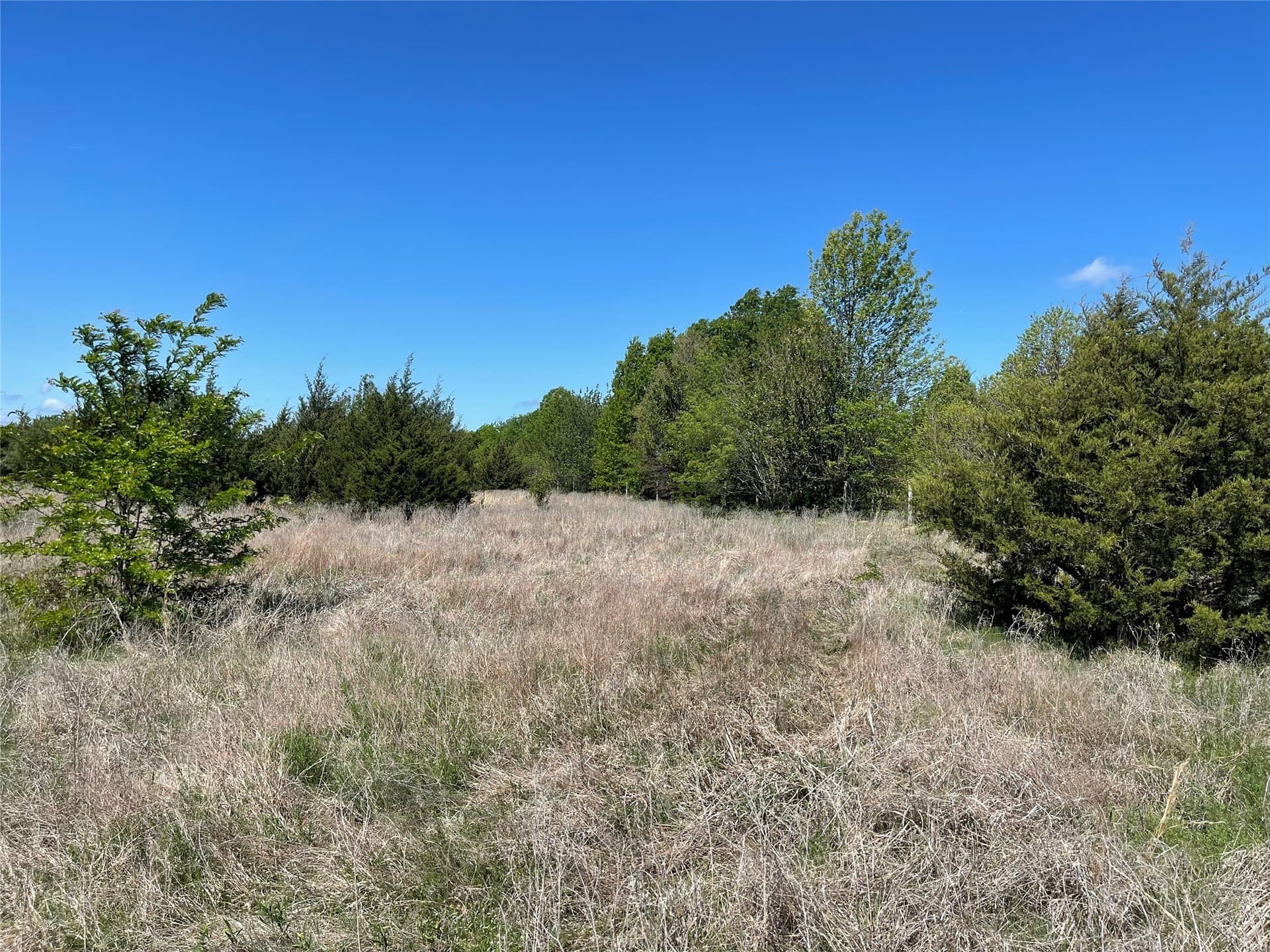 28.78 acres in Fannin County - photo 8