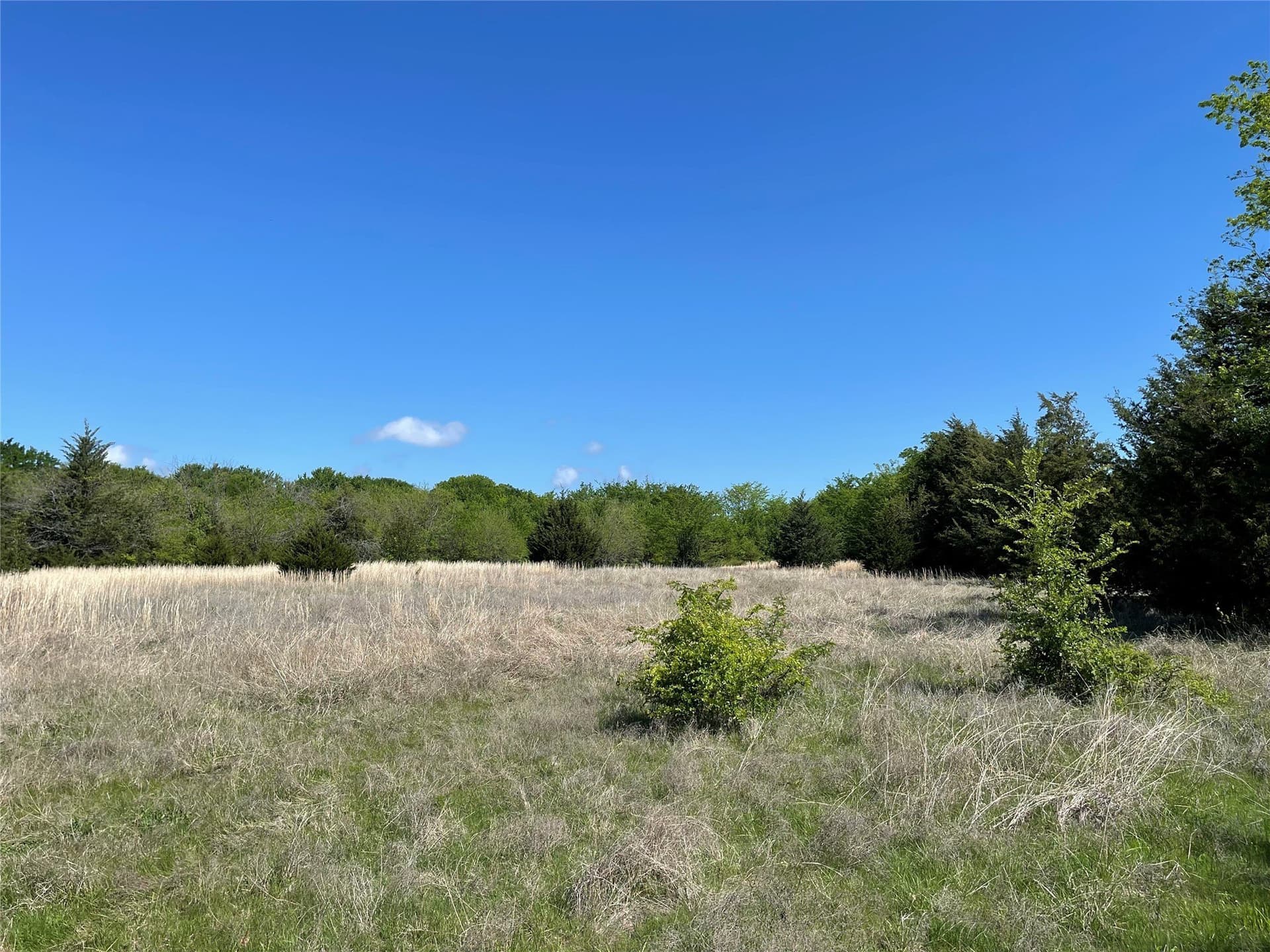 28.78 acres in Fannin County - photo 13
