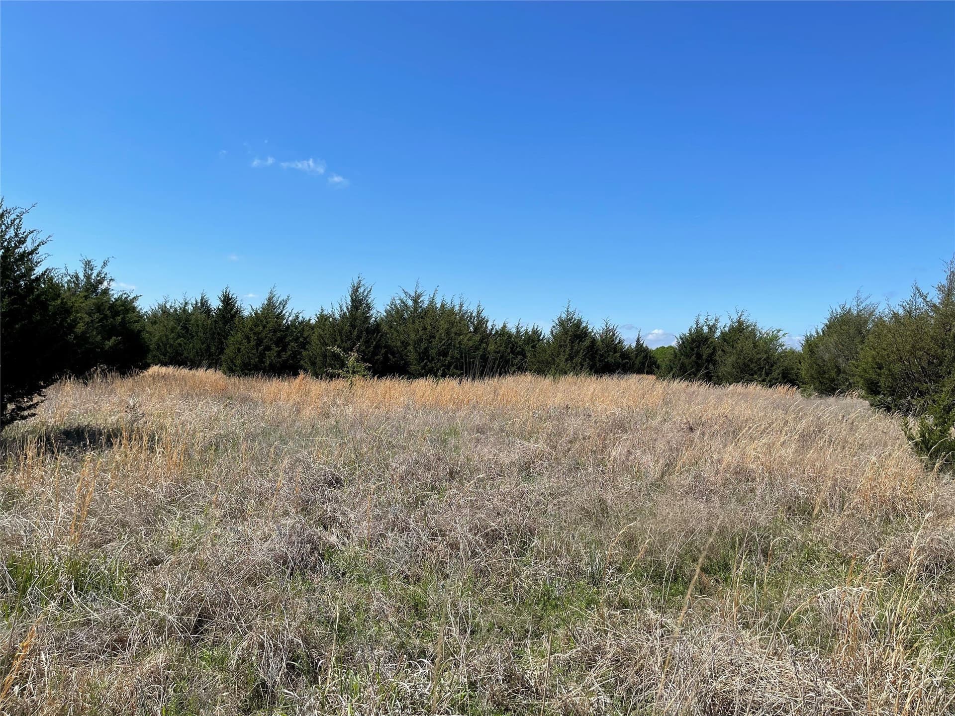 28.78 acres in Fannin County - photo 12