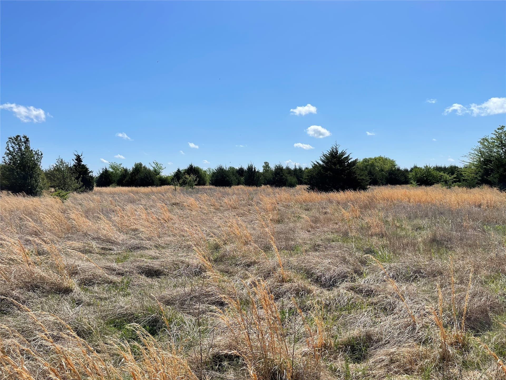 28.78 acres in Fannin County - photo 11