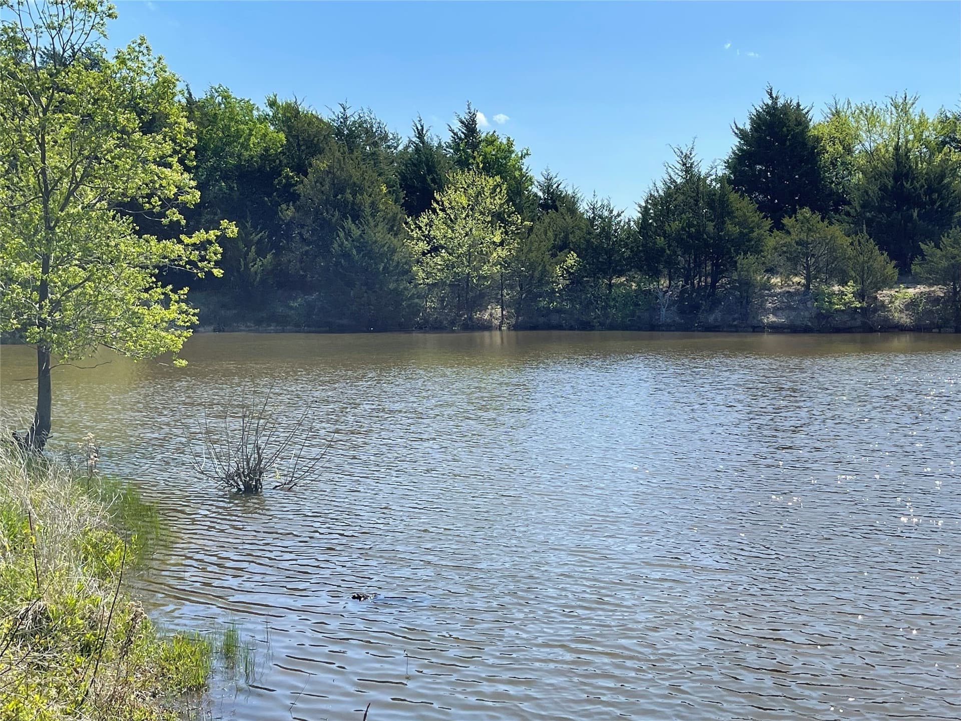 28.78 acres in Fannin County - photo 15