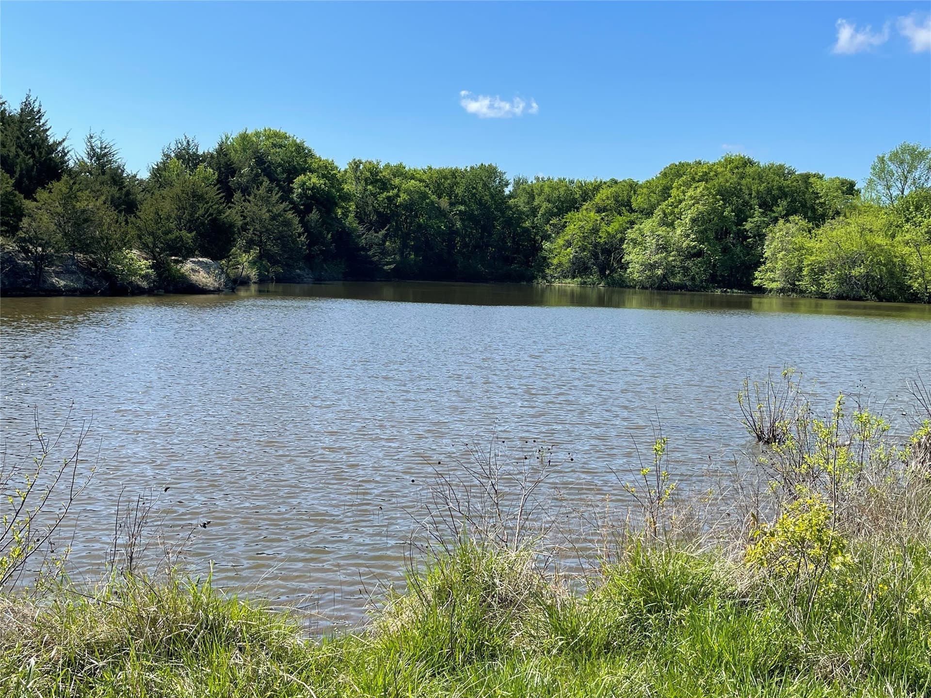 28.78 acres in Fannin County - photo 22