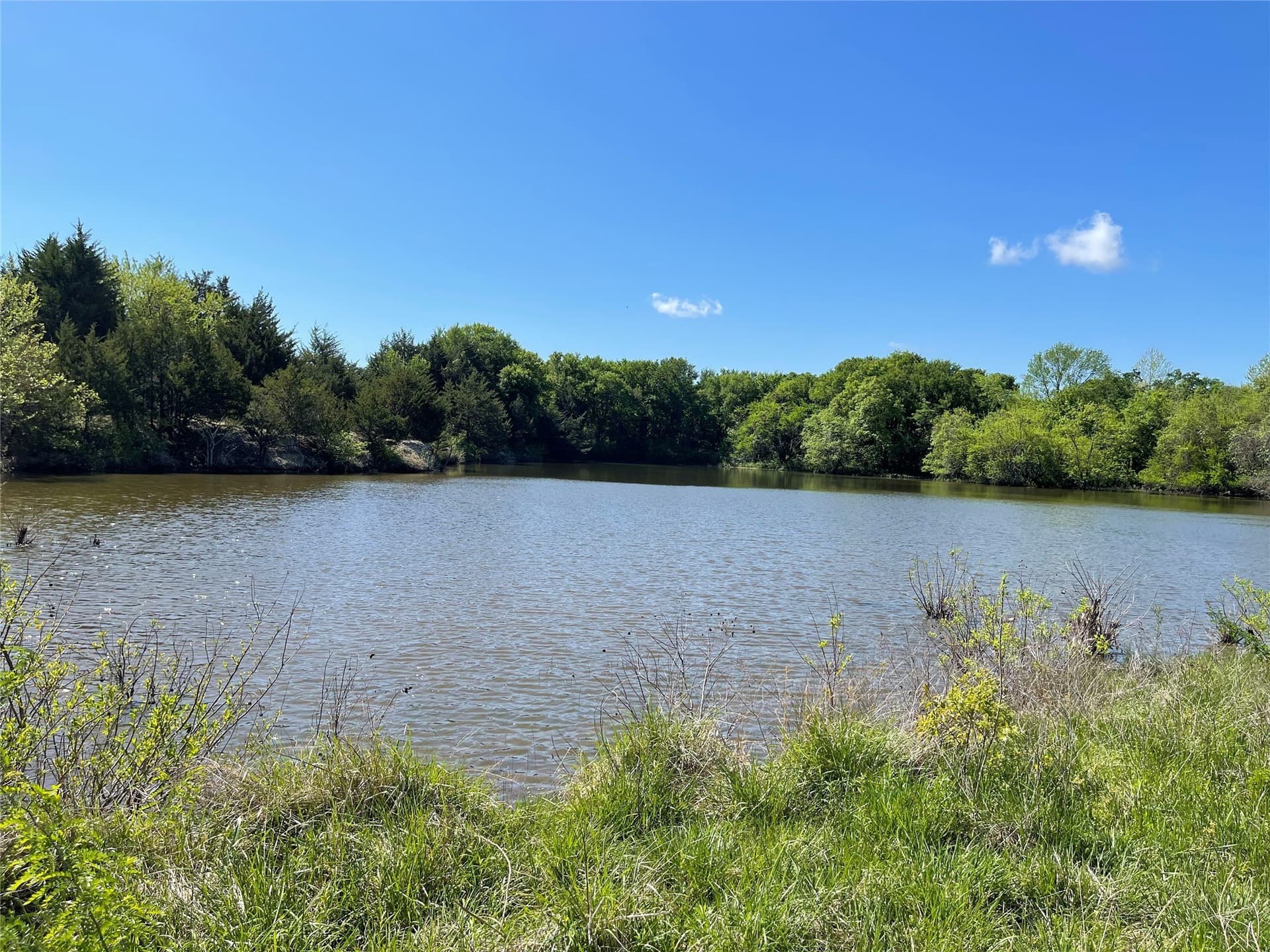 28.78 acres in Fannin County - photo 21
