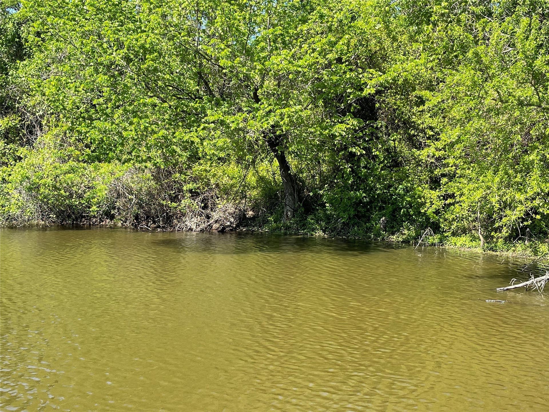 28.78 acres in Fannin County - photo 19
