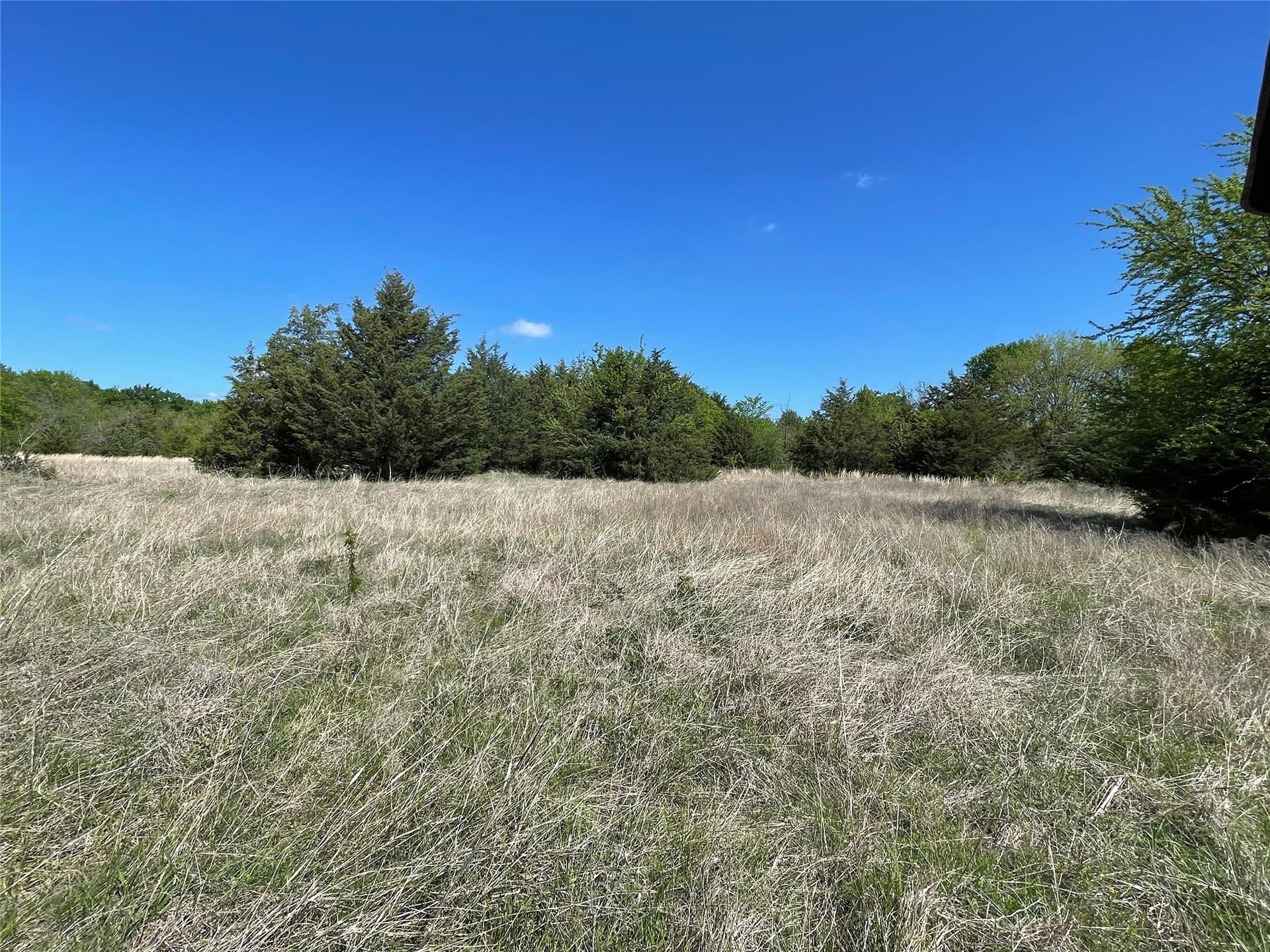 28.78 acres in Fannin County featured view