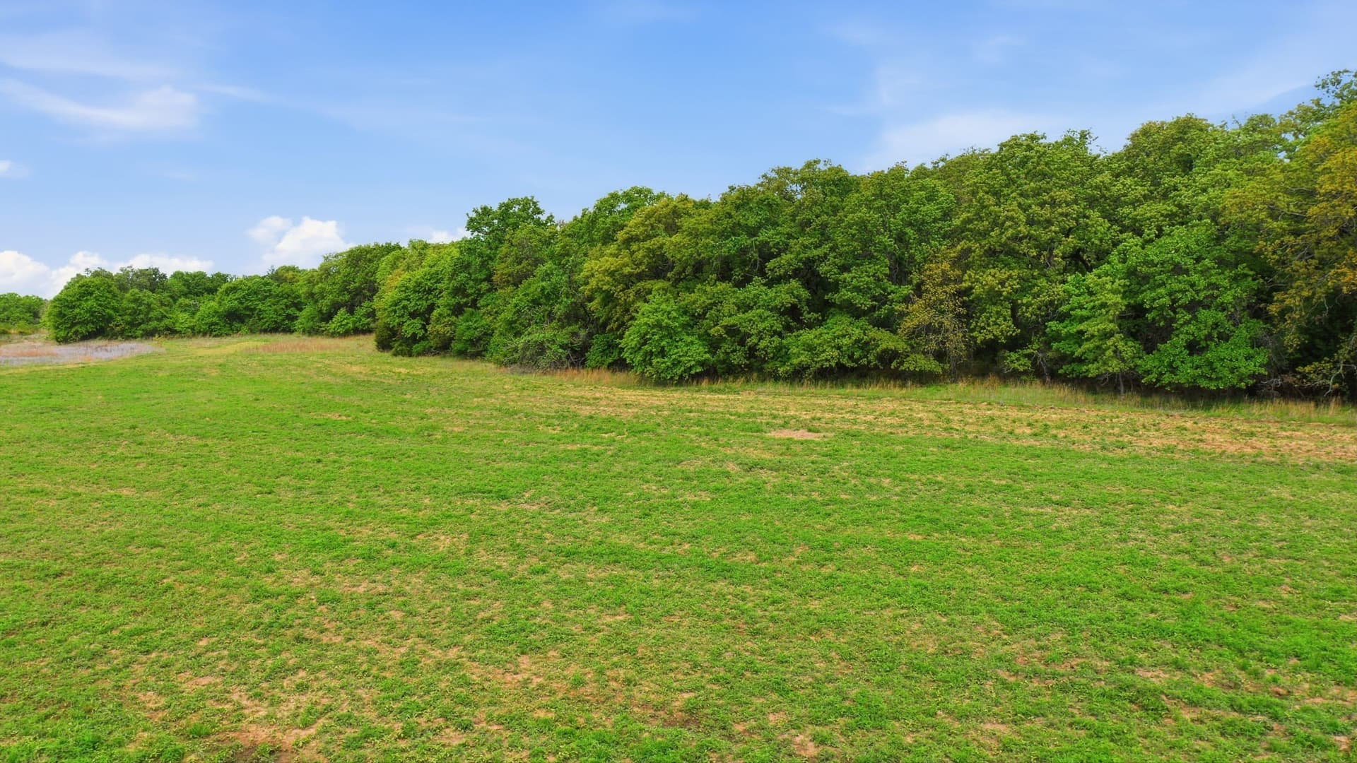65 acres in Parker County - photo 10