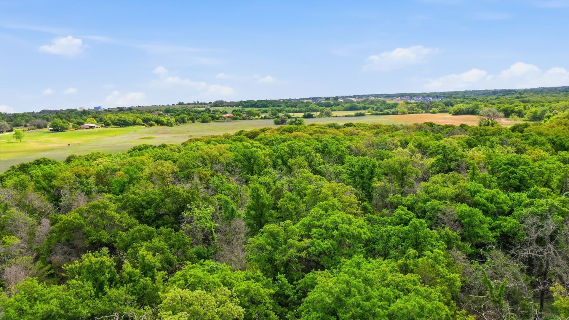 65 acres in Parker County - photo 16