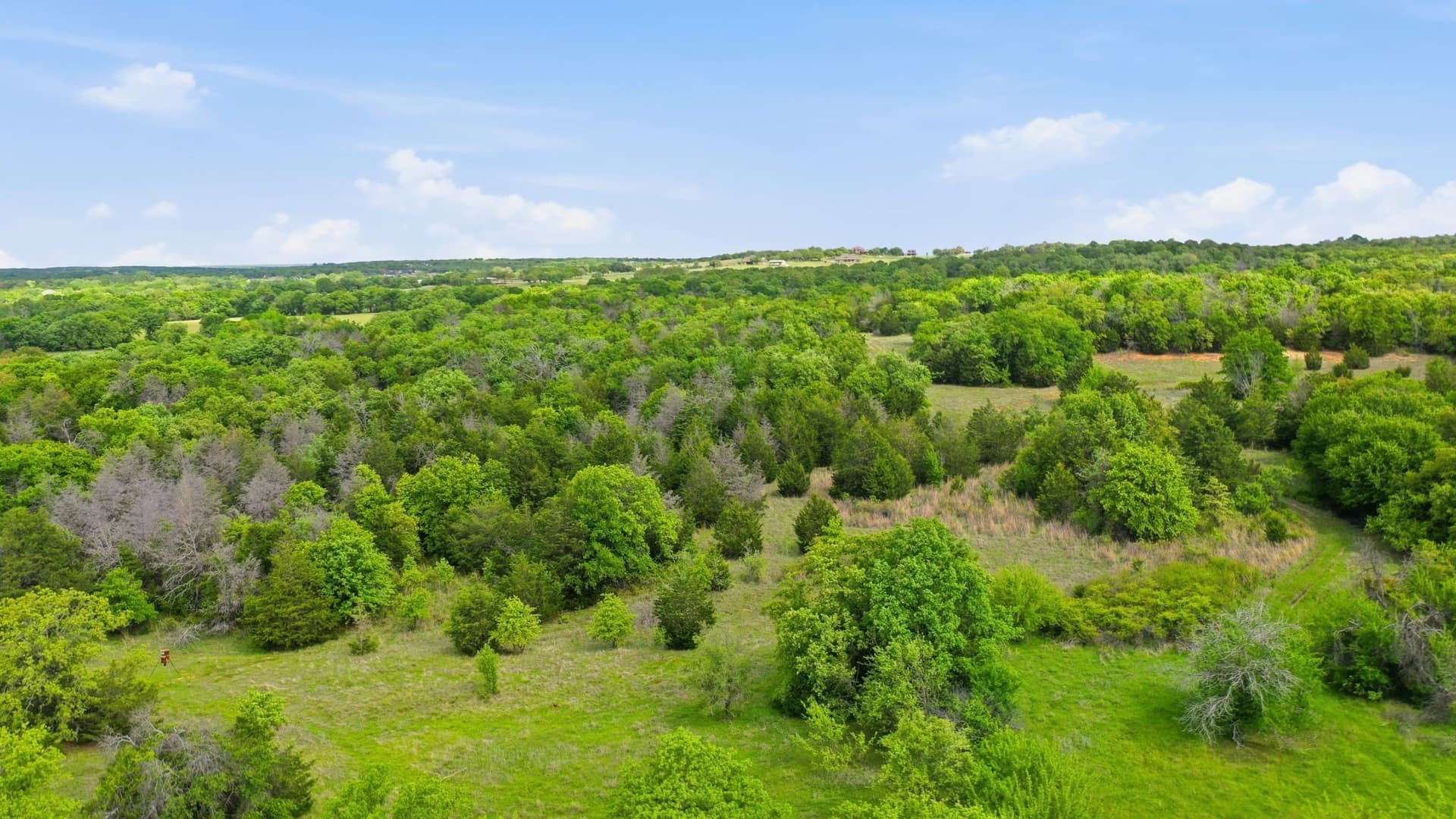 65 acres in Parker County - photo 13