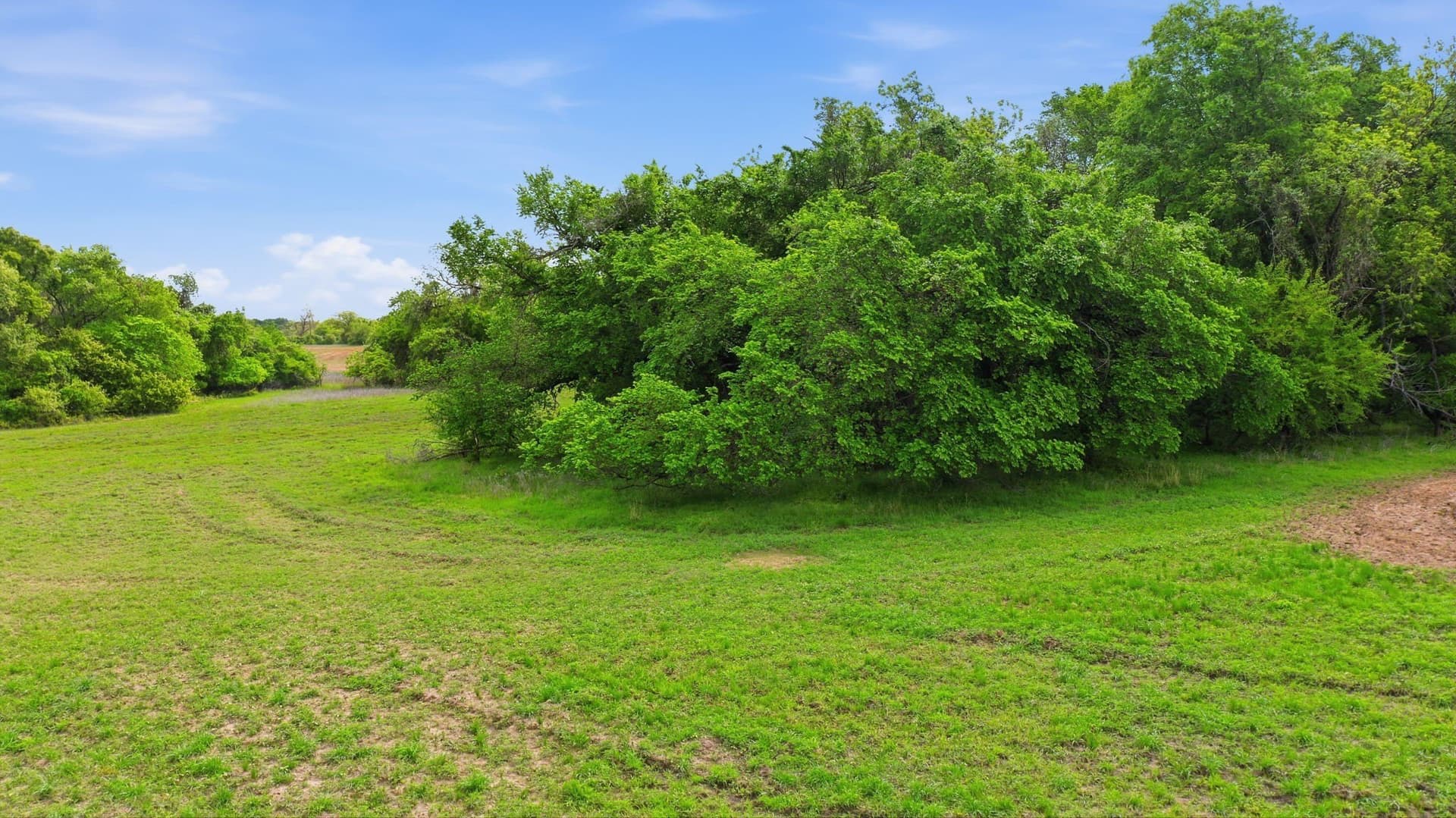 65 acres in Parker County - photo 8