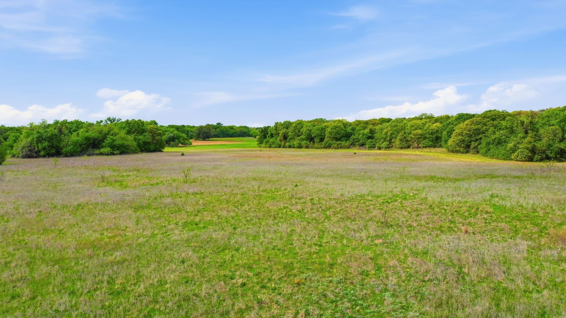 65 acres in Parker County - photo 5