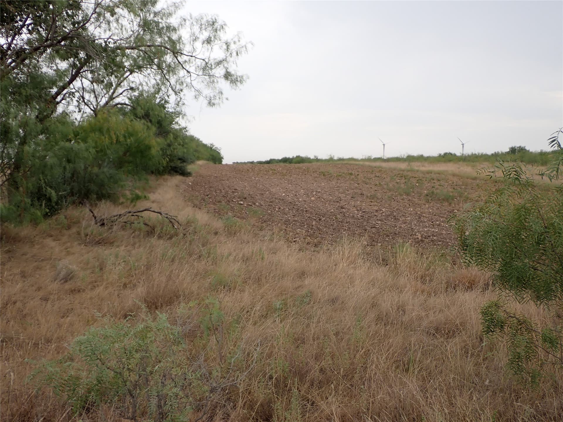 212.34 acres in Shackelford County - photo 8