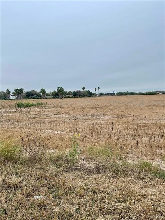 10.04 acres in Hidalgo County - photo 2