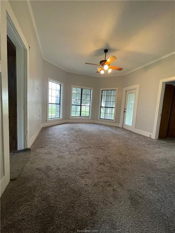 10.45 acres in Milam County gallery image 3