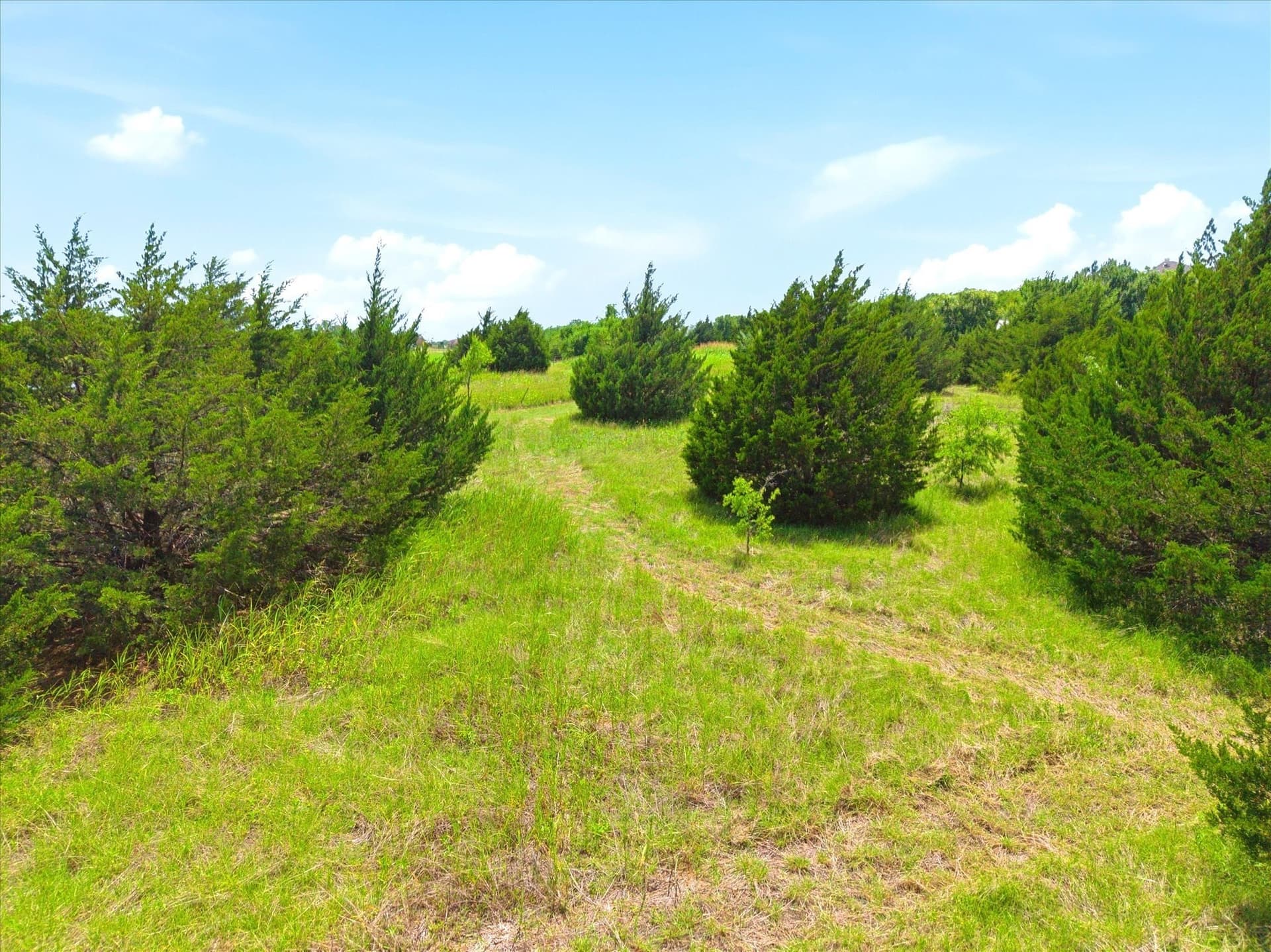 4.74 acres in Rockwall County - photo 12