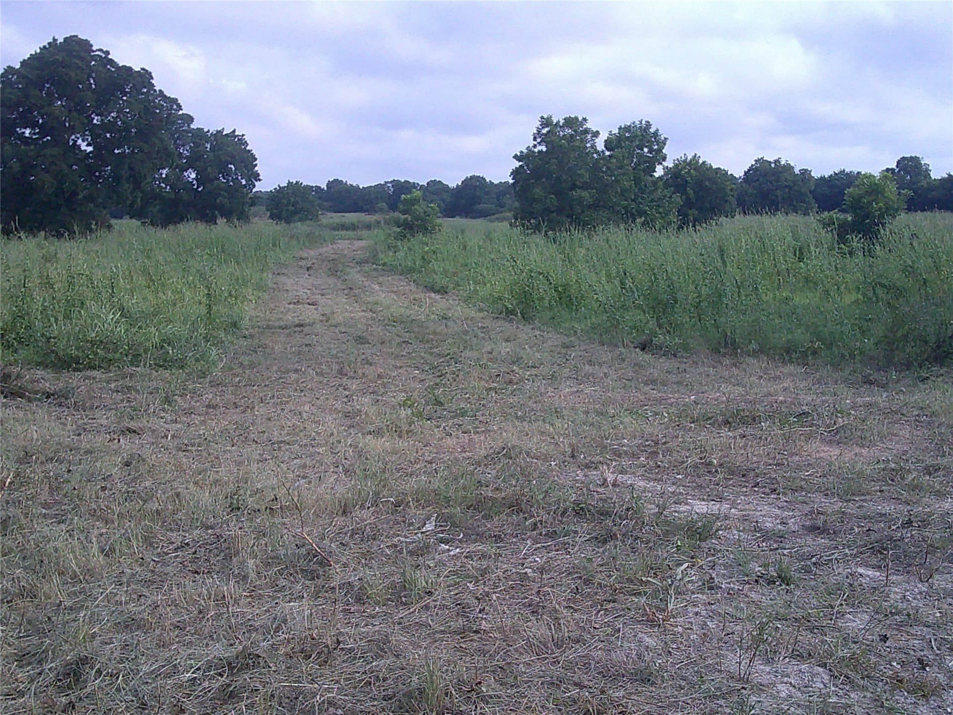 11 acres in Montague County - photo 7