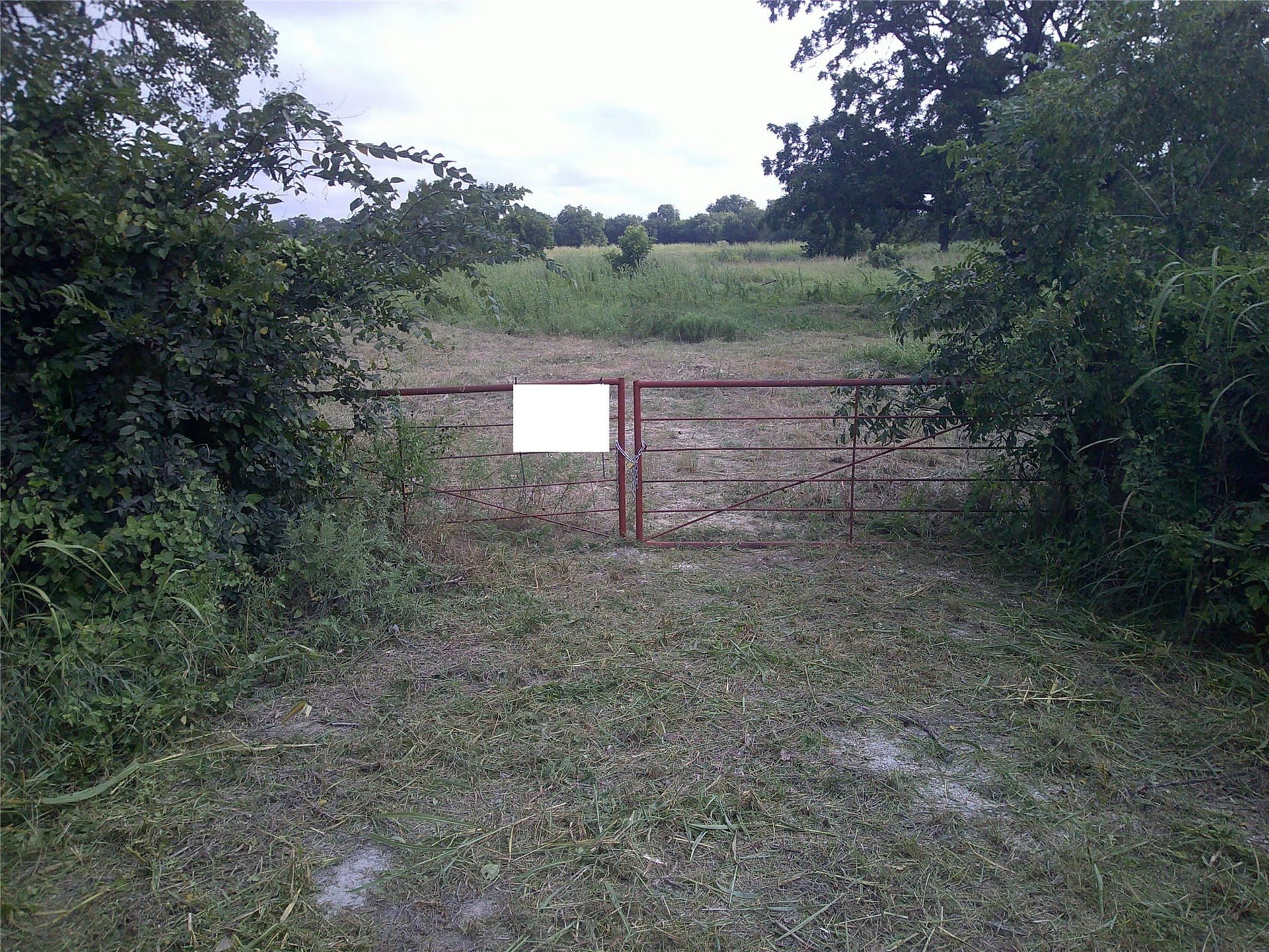 11 acres in Montague County - photo 9