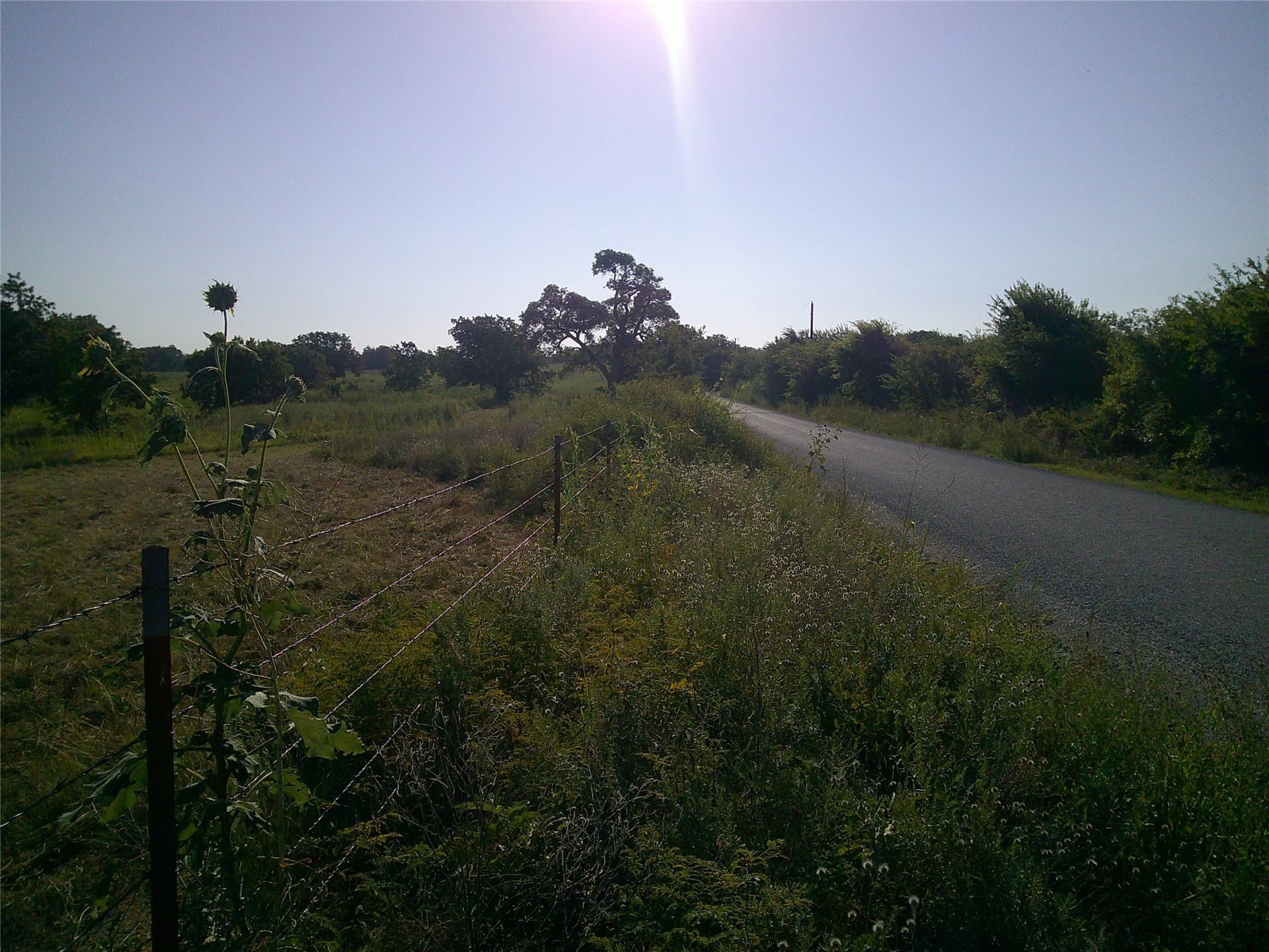 11 acres in Montague County - photo 11