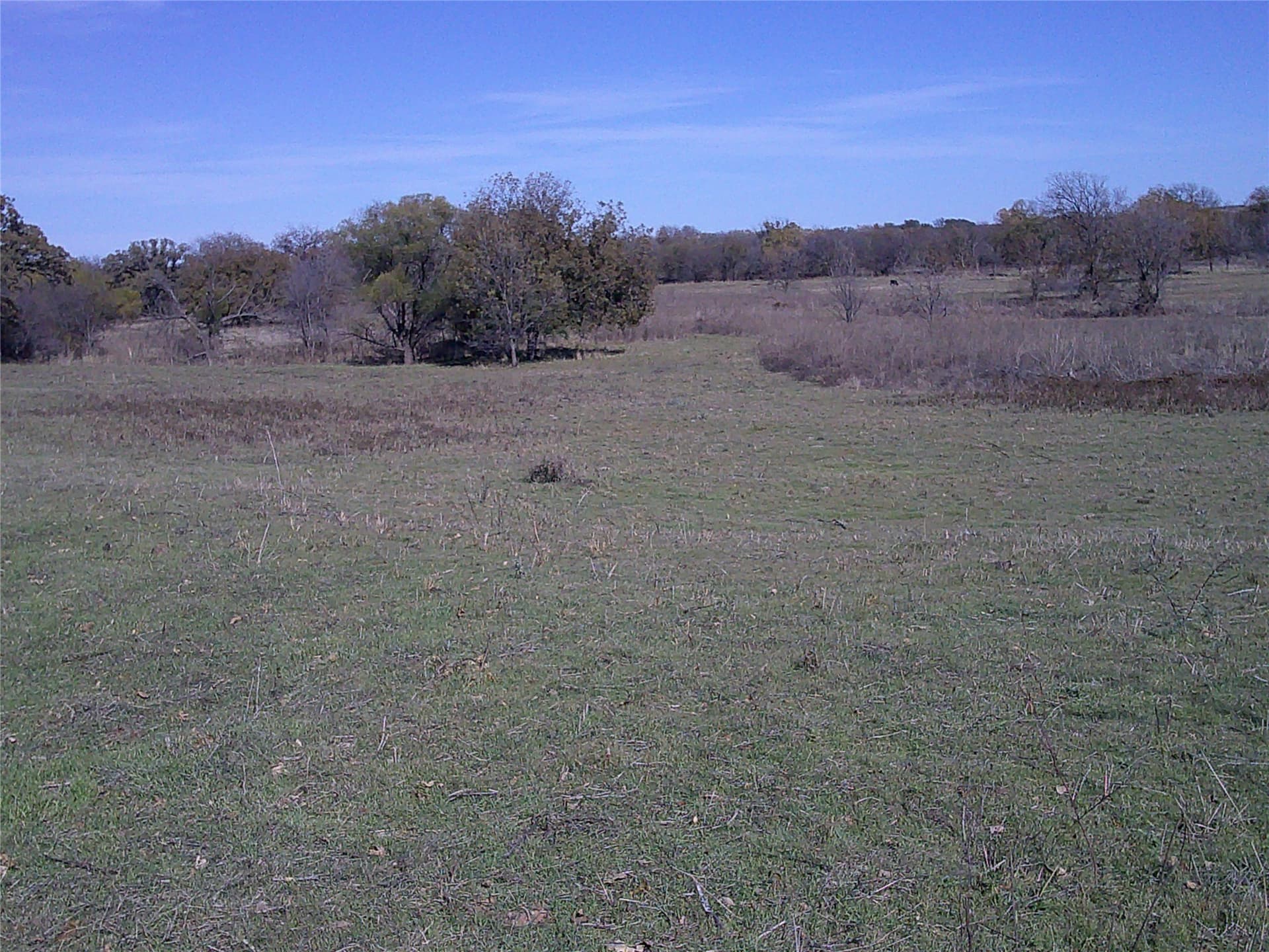 11 acres in Montague County