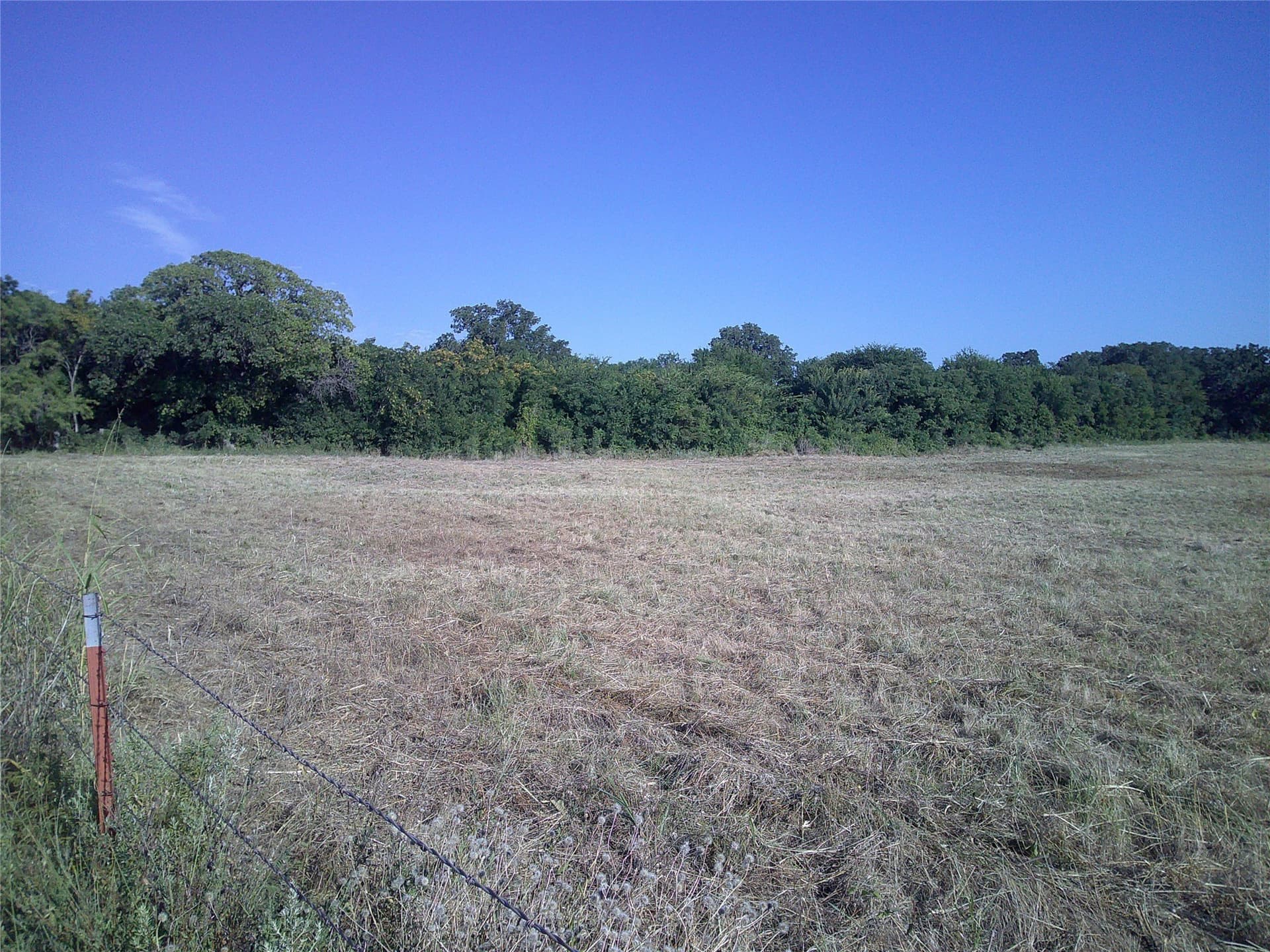 11 acres in Montague County - photo 12